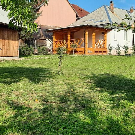 Mura House Vişeu de Sus Exterior foto